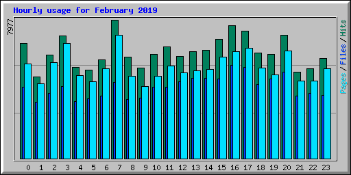 Hourly usage for February 2019