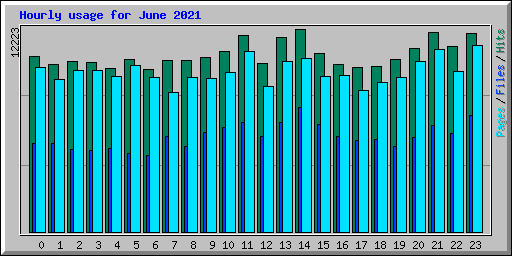 Hourly usage for June 2021