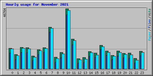 Hourly usage for November 2021