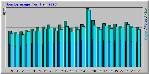 Hourly usage for May 2025