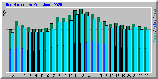 Hourly usage for June 2025