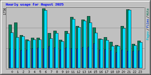 Hourly usage for August 2025