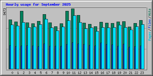 Hourly usage for September 2025