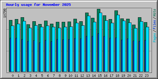 Hourly usage for November 2025