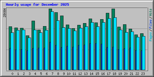 Hourly usage for December 2025