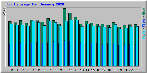 Hourly usage for January 2026