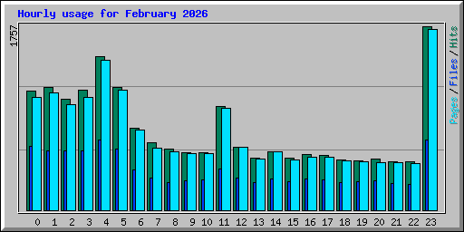 Hourly usage for February 2026