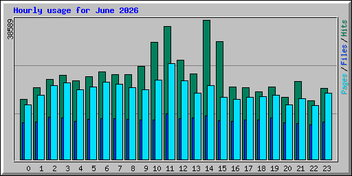 Hourly usage for June 2026