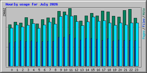 Hourly usage for July 2026