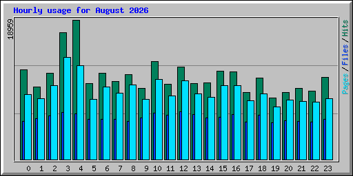 Hourly usage for August 2026